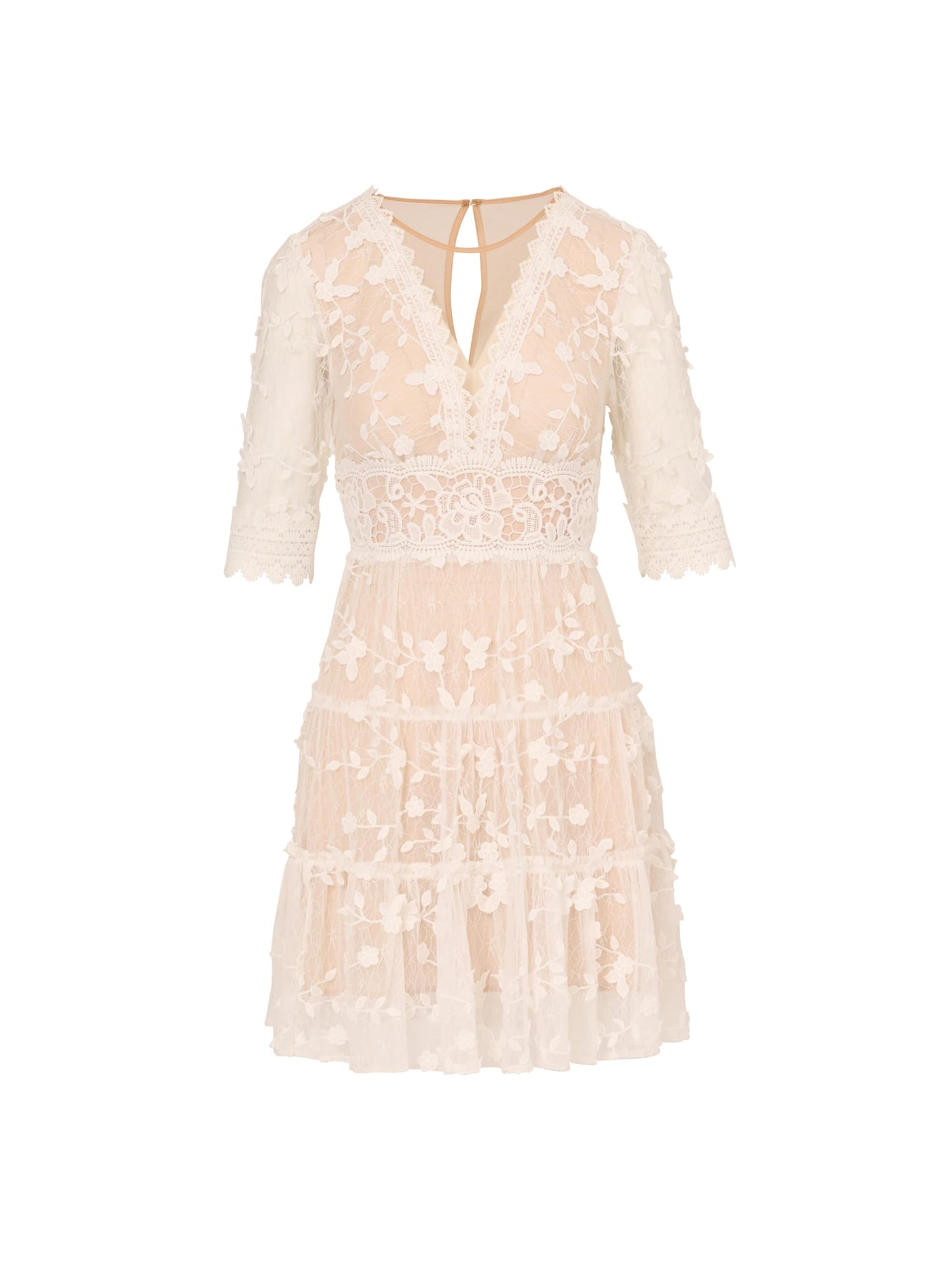 Adrianna Papell Lace Embroidered Dress