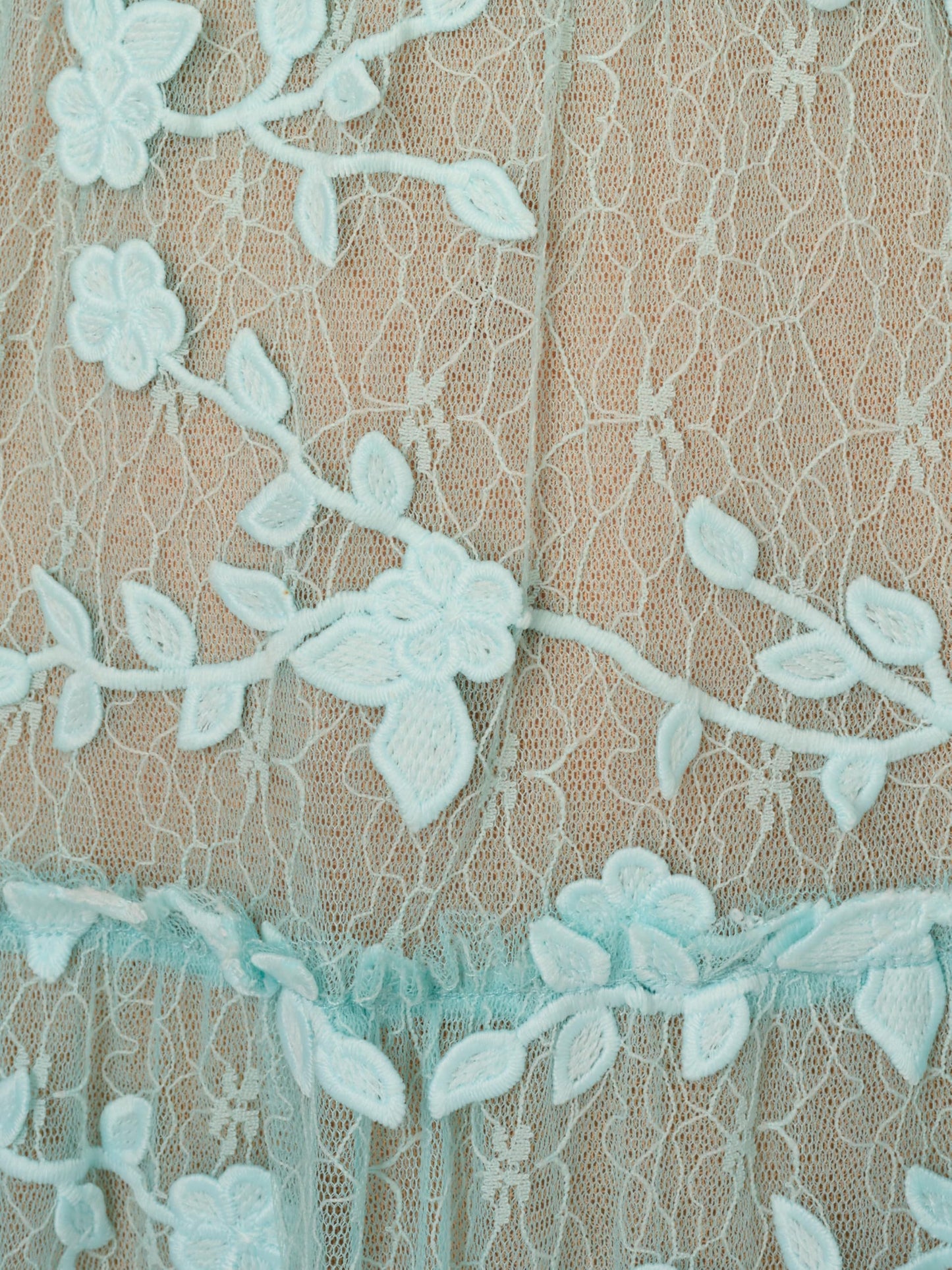 Adrianna Papell Lace Embroidered Dress