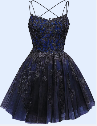 Glitter Lace Applique Dress