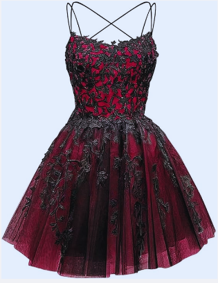 Glitter Lace Applique Dress