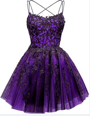 Glitter Lace Applique Dress
