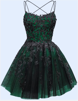 Glitter Lace Applique Dress
