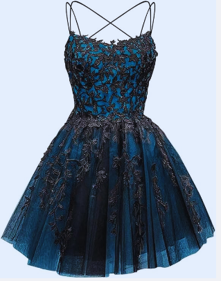 Glitter Lace Applique Dress