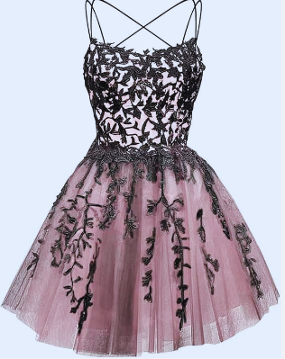 Glitter Lace Applique Dress