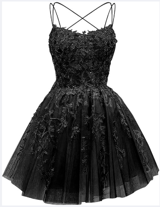 Glitter Lace Applique Dress