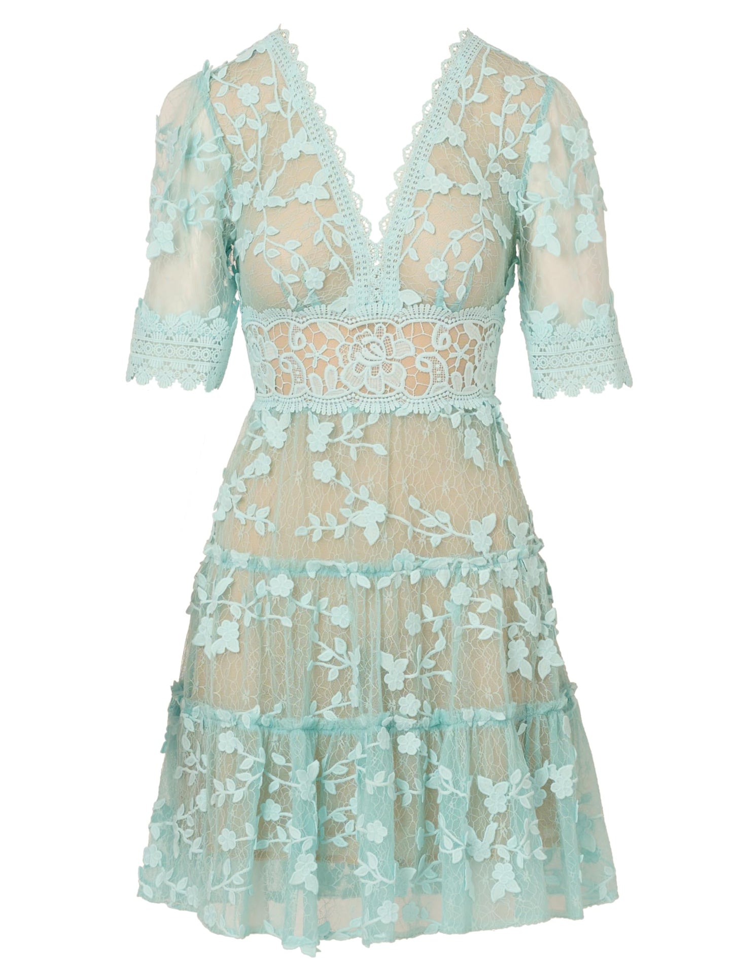 Adrianna Papell Lace Embroidered Dress