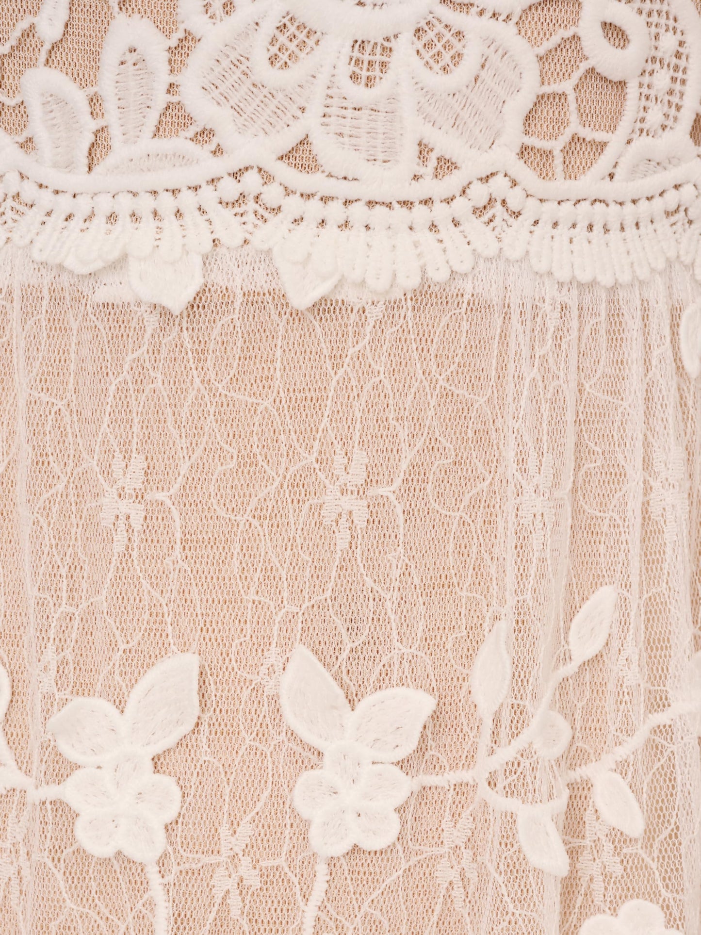 Adrianna Papell Lace Embroidered Dress