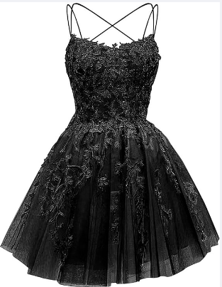 Glitter Lace Applique Dress