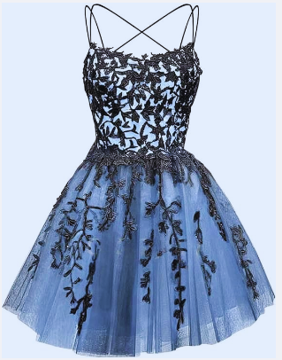 Glitter Lace Applique Dress