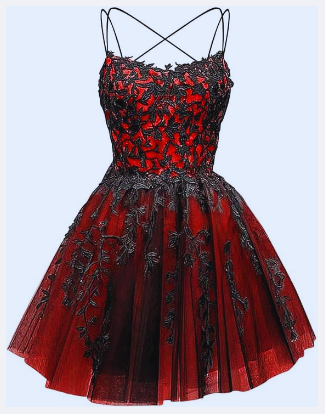 Glitter Lace Applique Dress