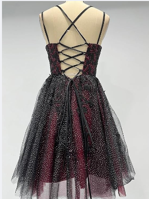 Glitter Lace Applique Dress